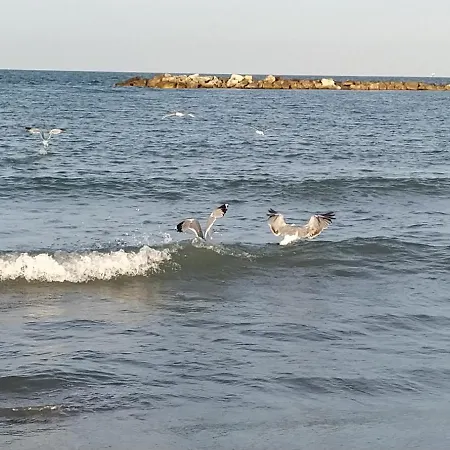 度假居 Al Civico 2 拉文纳