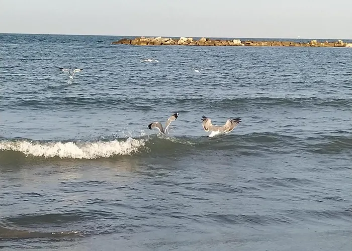 Semesterbostad Al Civico 2 Ravenna